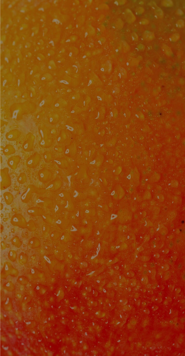 brackish-vodka-mango-background