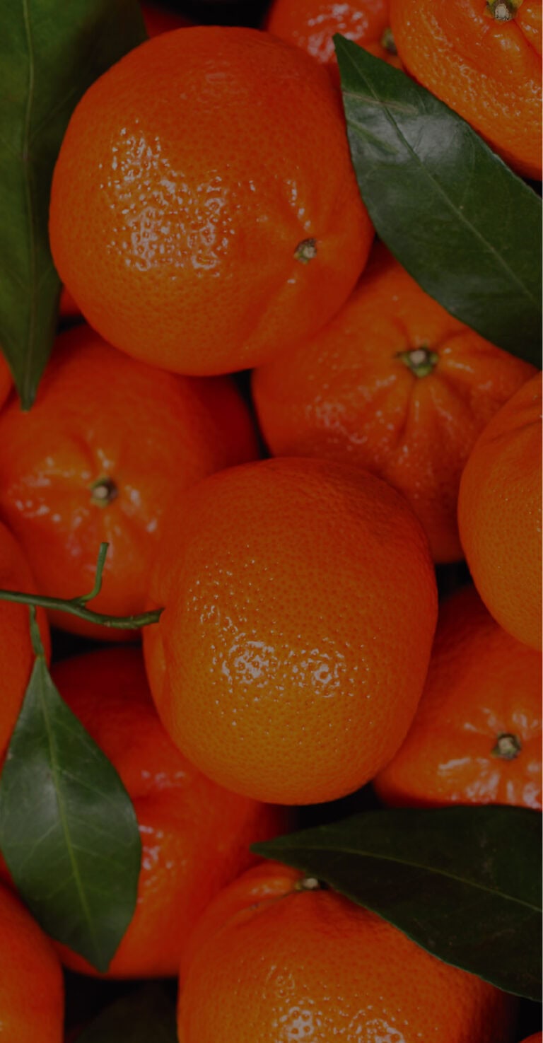 brackish-vodka-tangerine-background
